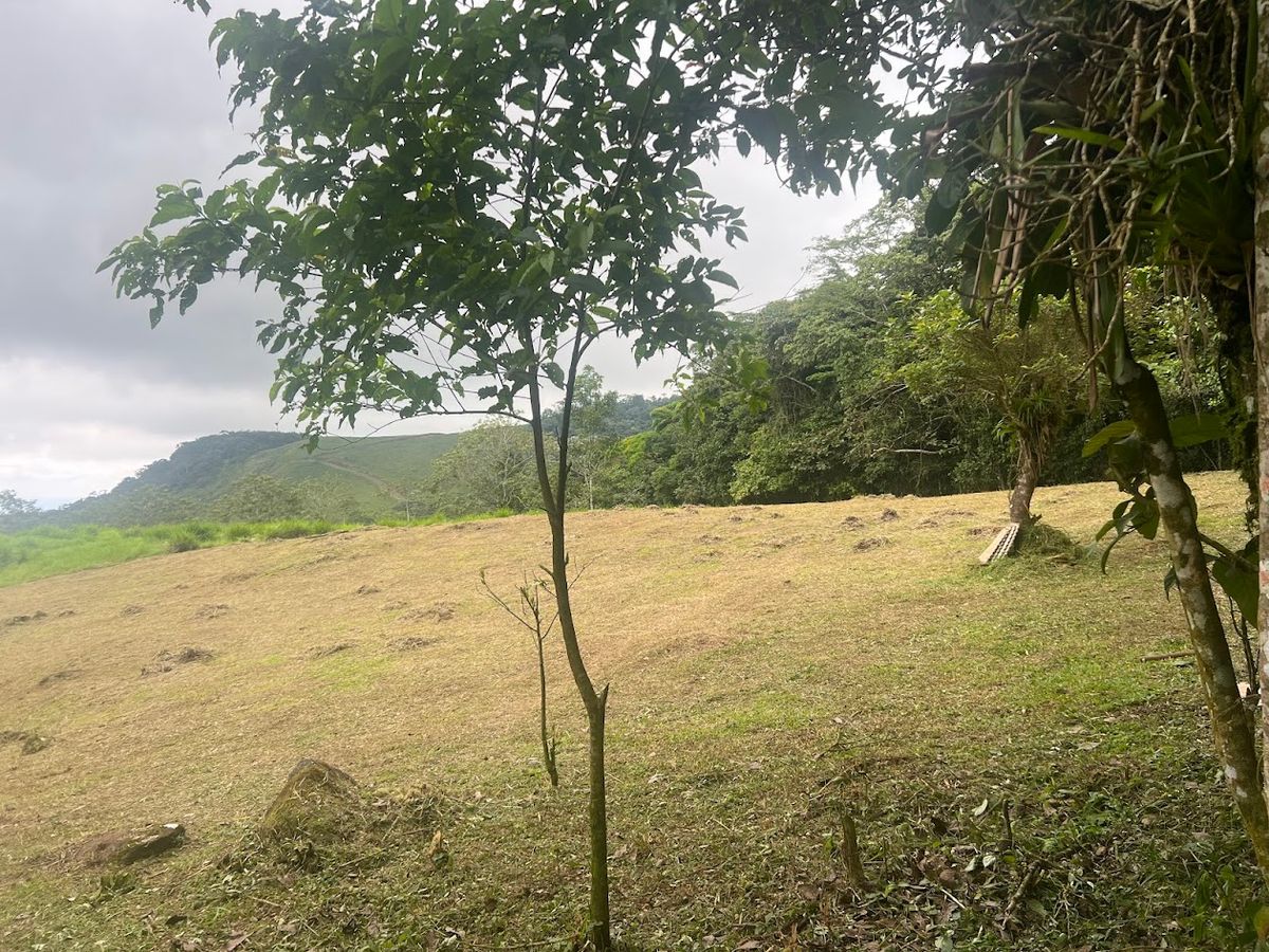 3,000 sqm Flat Lot in San Gerardo: Nature & Investment Opportunity