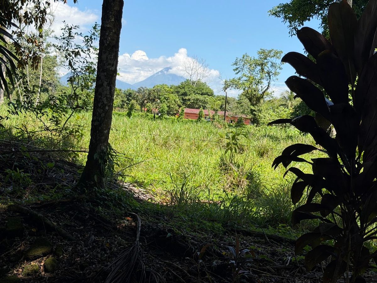 3.6-Hectare Livestock & Commercial Farm in La Vega: Main Road Frontage