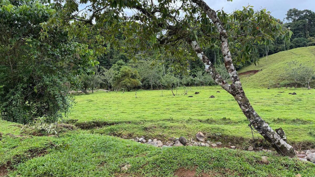Finca Turística y Agropecuaria en San Carlos: Con Nacientes y Ríos