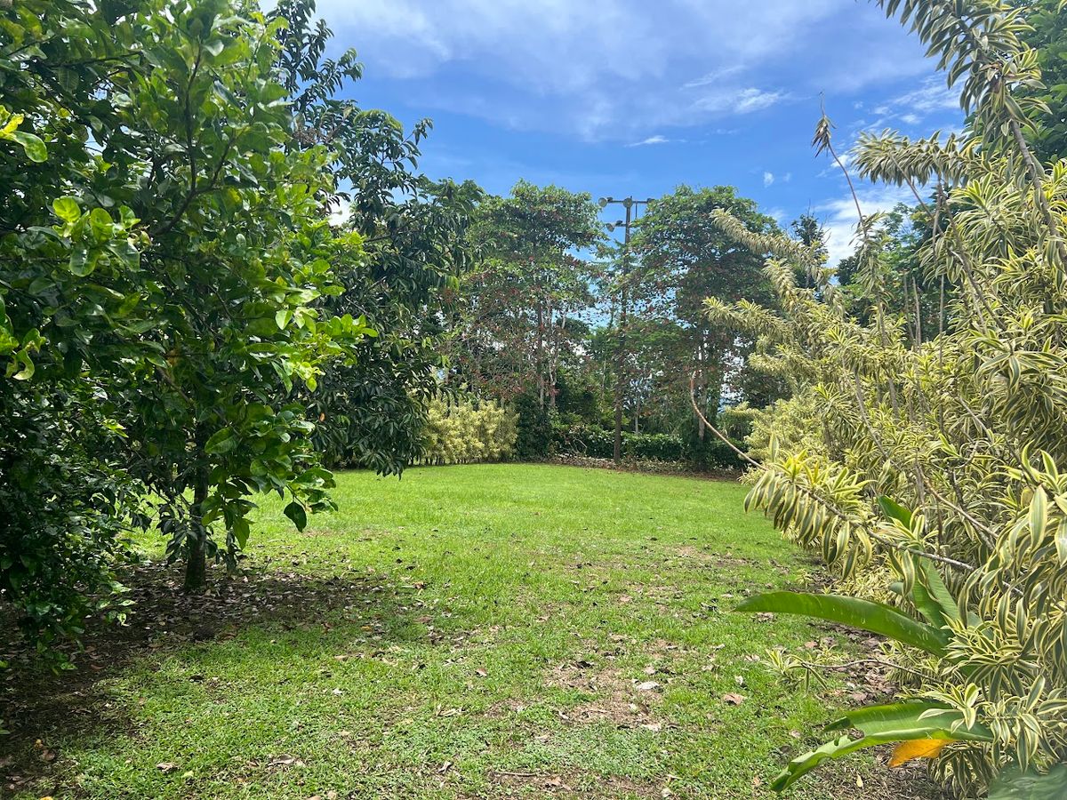 Lot in Cuestillas de Florencia: Privacy and Nature