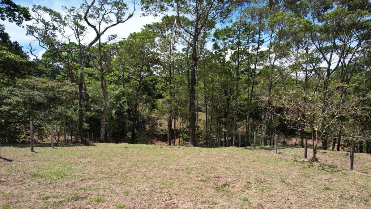 Lot in Linda Vista, La Tesalia San Carlos: Private Retreat