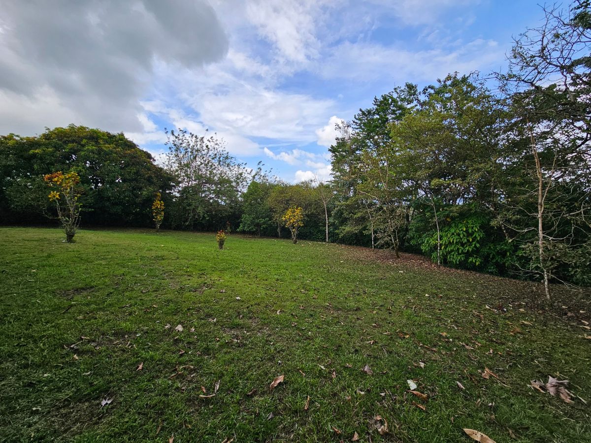 Finca de 3.2 Hectáreas en Peñas Blancas: Con Río y Potencial Turístico