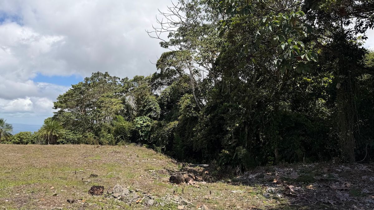 Private lot in San Gerardo, Ciudad Quesada