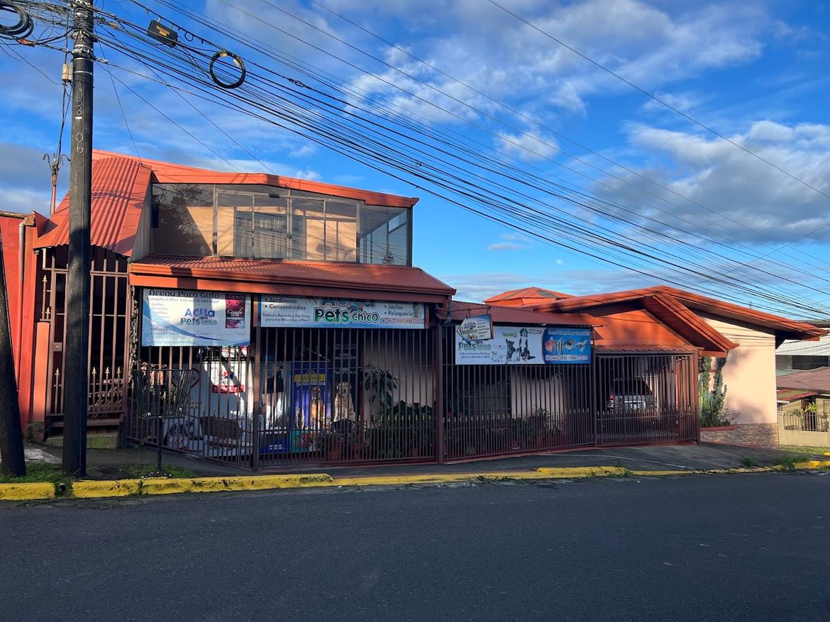 Prime Commercial Property in Downtown Ciudad Quesada: High-Yield Investment