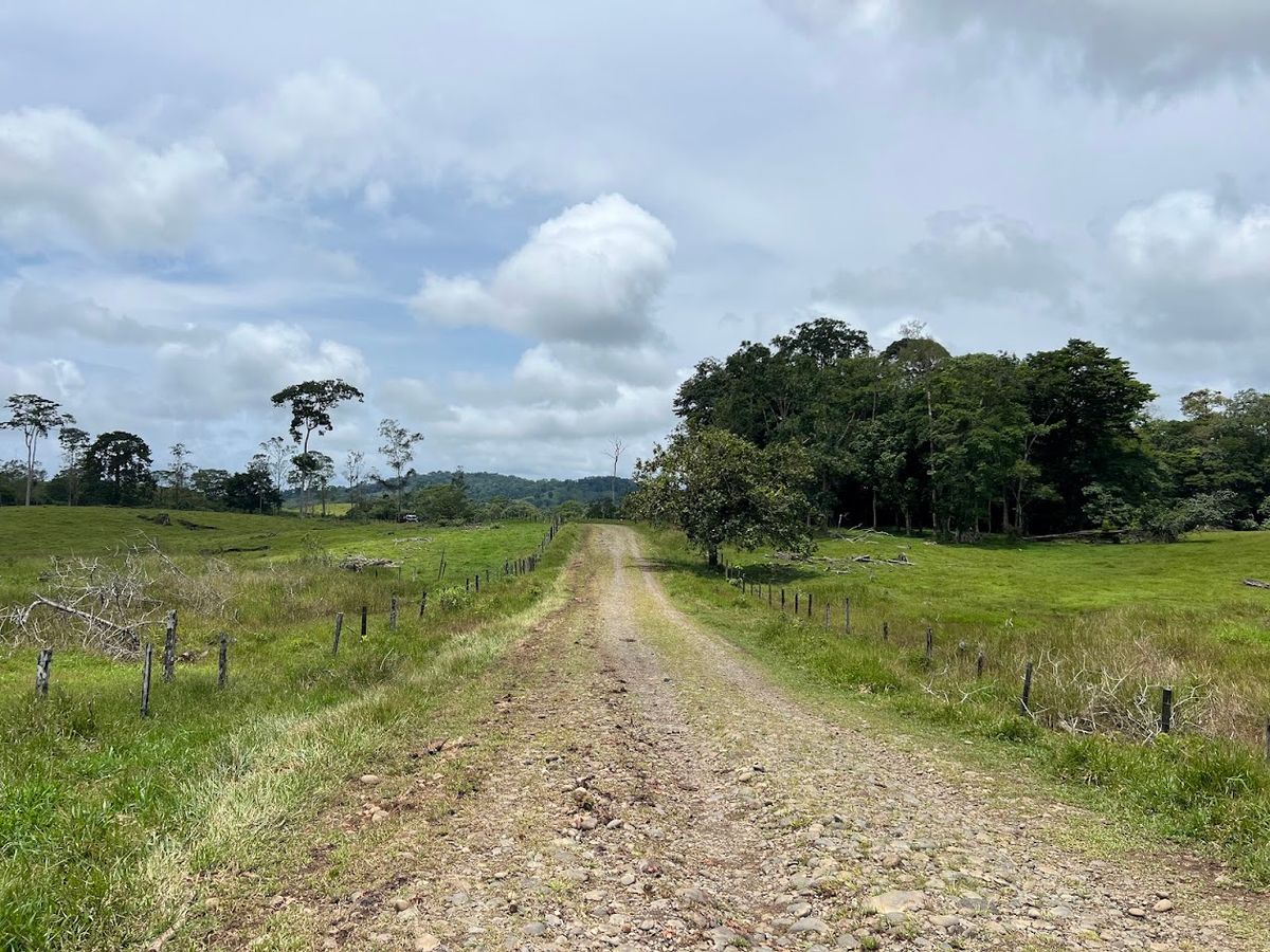 Cattle ranch in Costa Rica, San Carlos