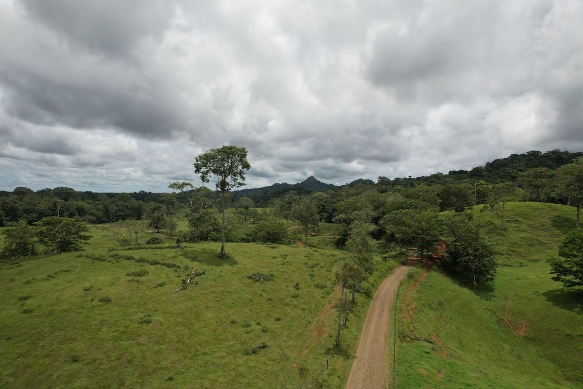 Cattle ranch in Costa Rica, San Carlos