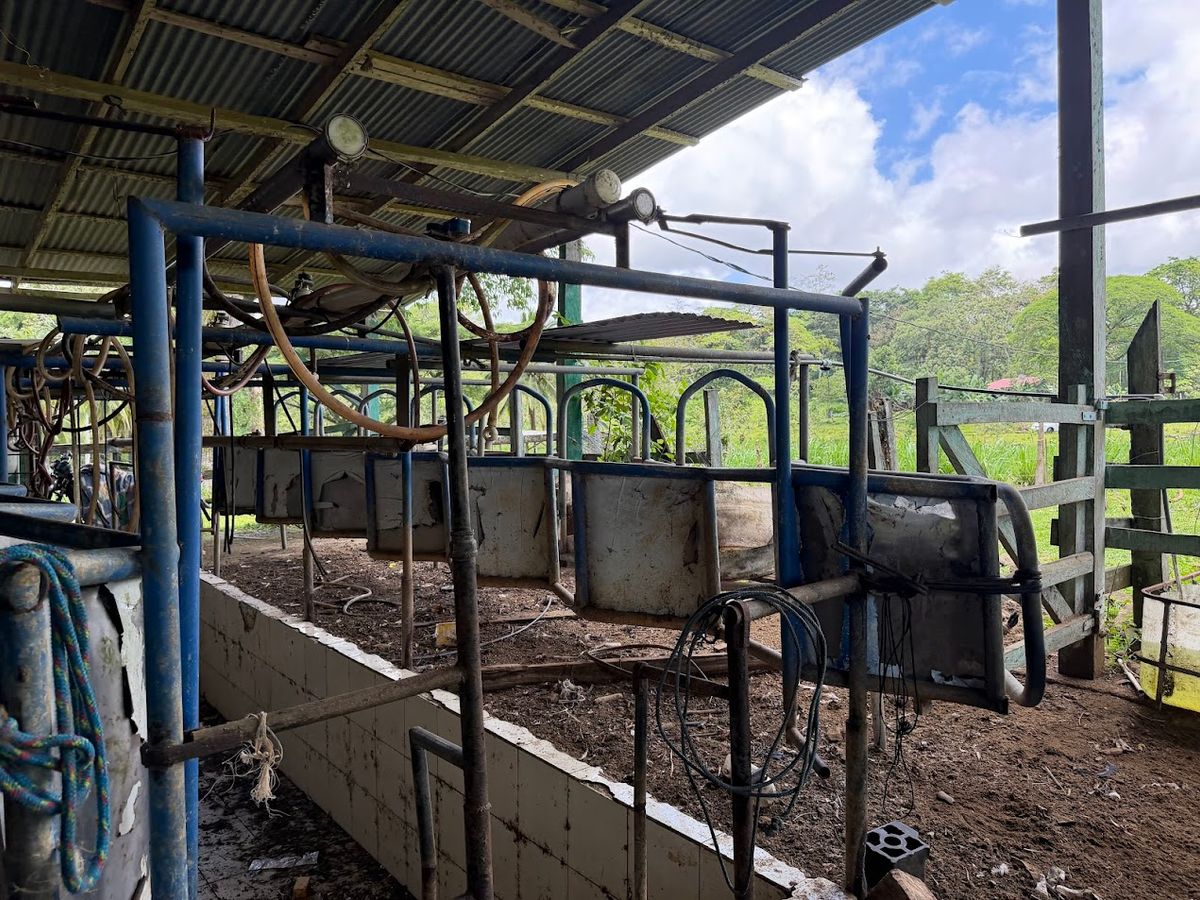 Finca Ganadera entre Upala y Bijagua: Dividida por Vía Nacional