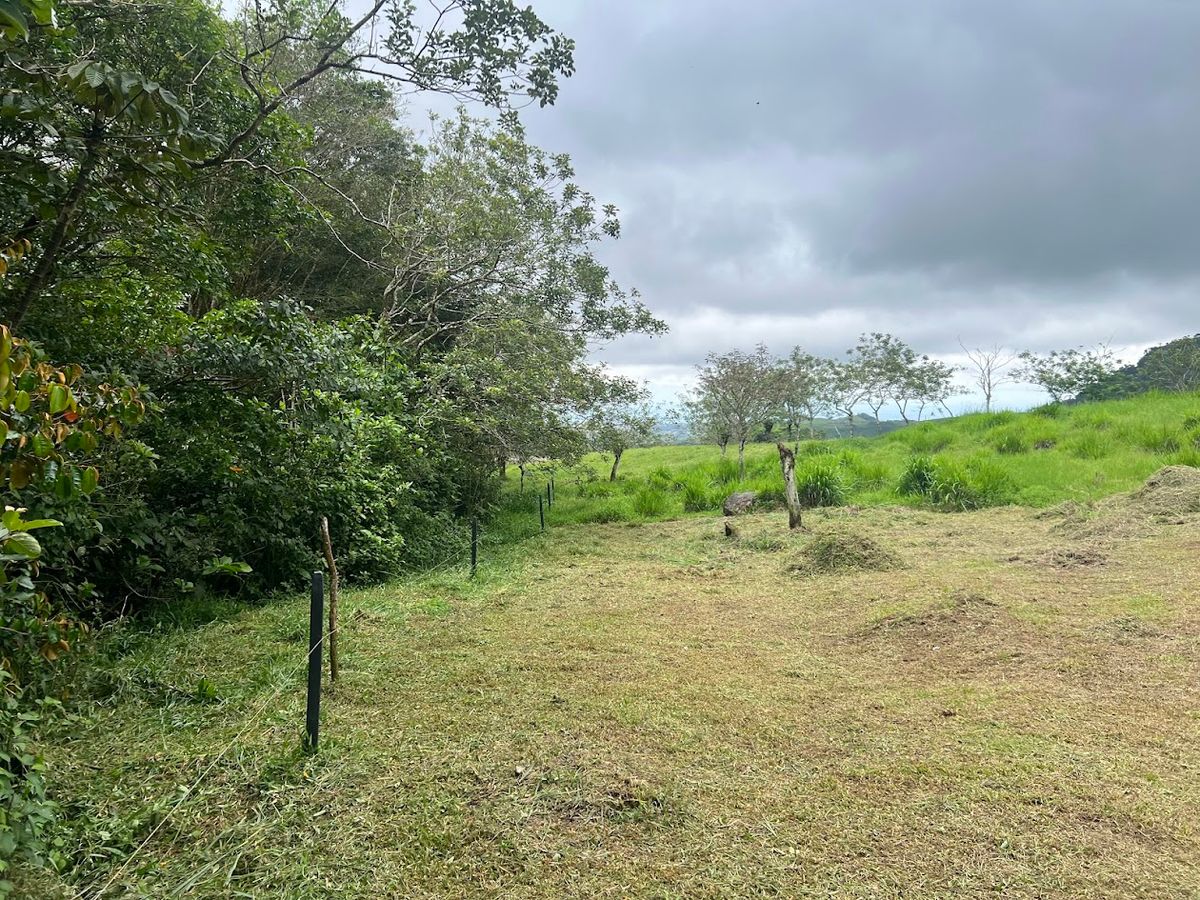 3,000 sqm Flat Lot in San Gerardo: Nature & Investment Opportunity
