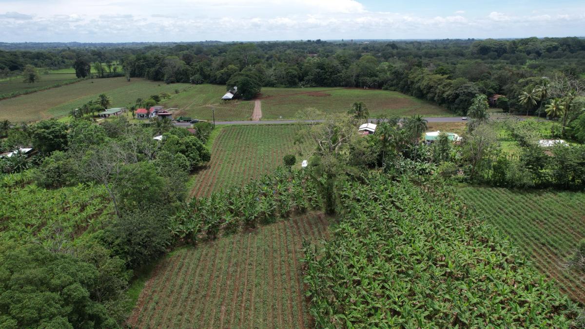 2-Hectare Farm in La Perla, La Fortuna: Commercial Frontage & Peñas Blancas River