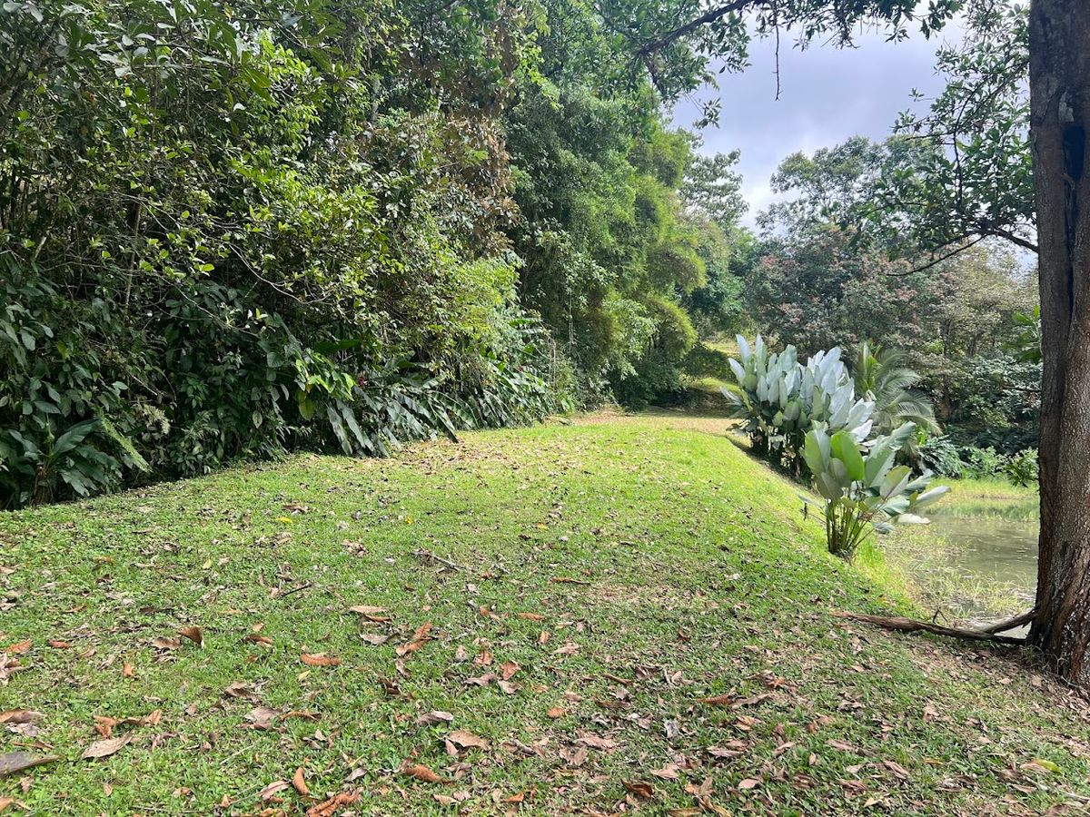 Stunning 6.4-Acre Lakefront Estate with Tourism Potential in La Palmera