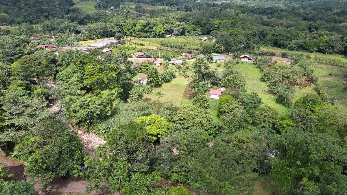 Land for Country Home in La Tigra, San Carlos: Bordering River
