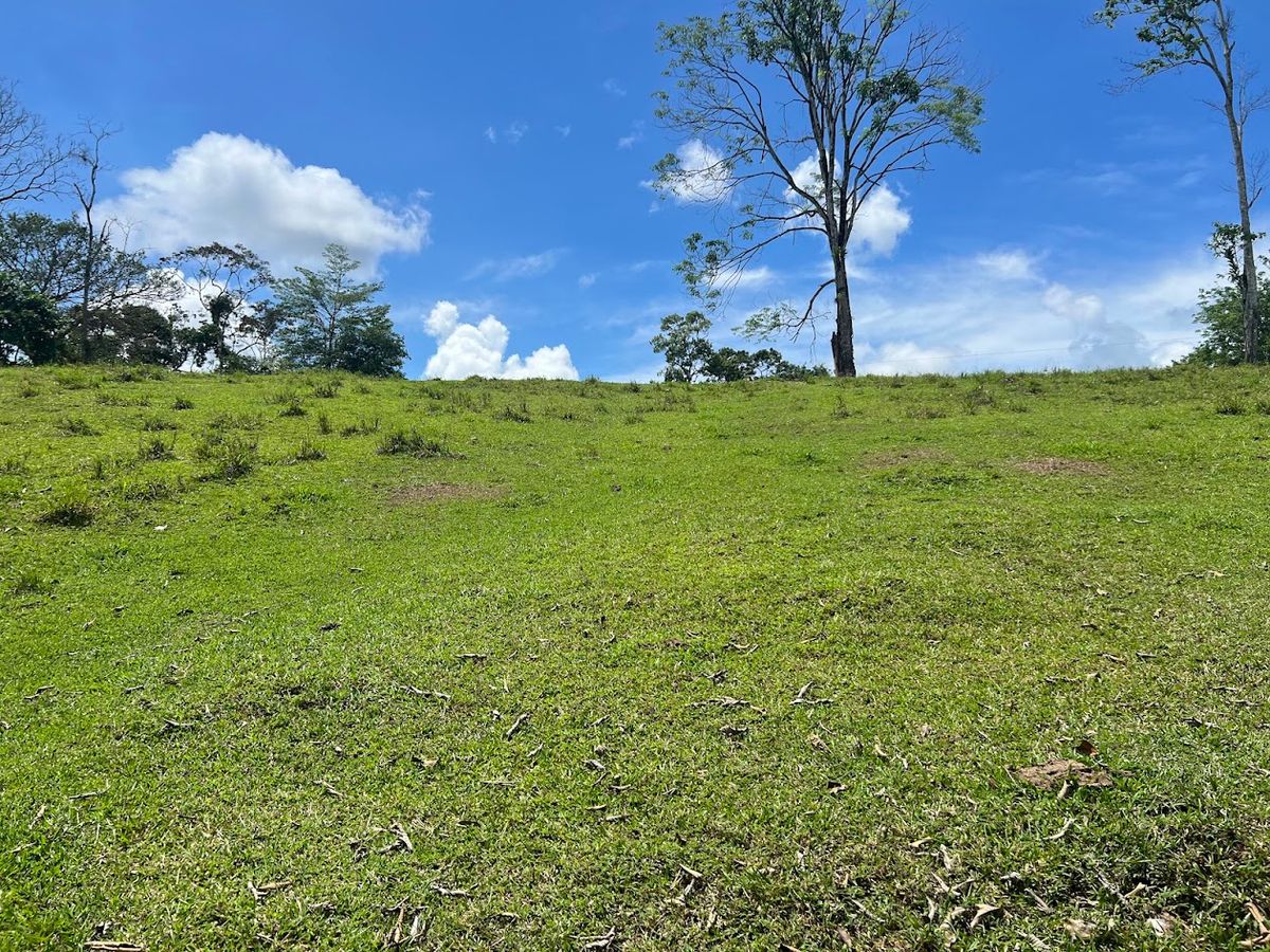 Luxury Lakefront Estate in Cutris: Volcano Views & Nature Sanctuary.
