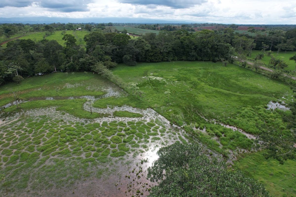 7-Hectare Self-Sufficient Dairy Farm and Cabin in Los Chiles