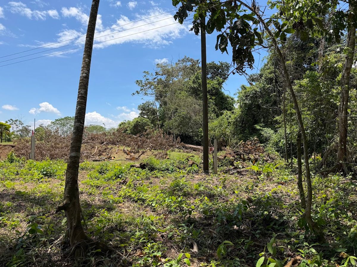 725 sqm Lot in Chachagua: Near La Fortuna & Arenal Volcano