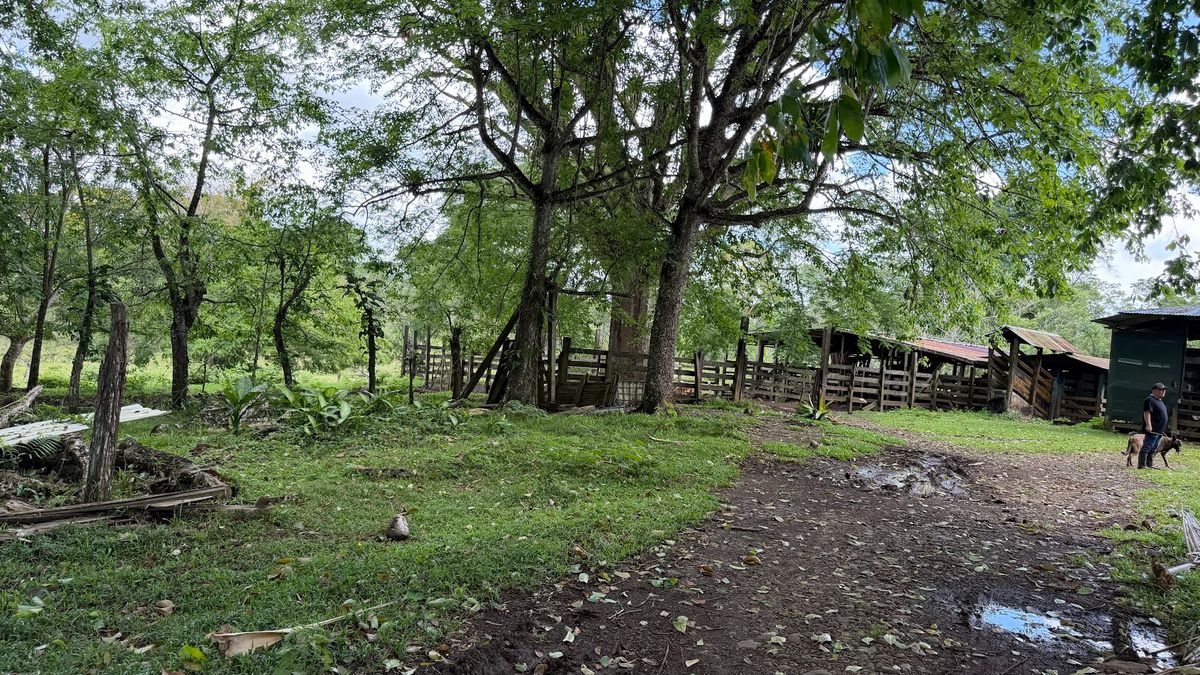 Fully Operational Livestock Development in Cuatro Esquinas