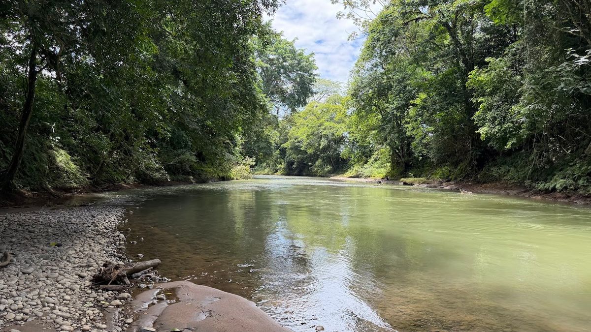 2-Hectare Farm in La Perla, La Fortuna: Commercial Frontage & Peñas Blancas River