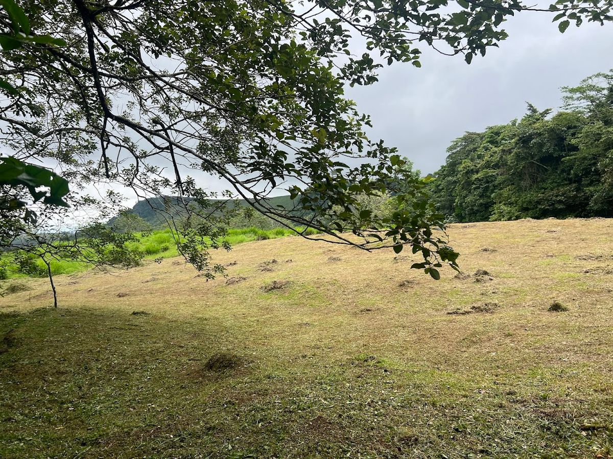 3,000 sqm Flat Lot in San Gerardo: Nature & Investment Opportunity