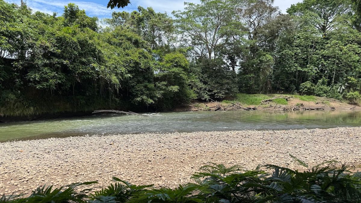 2-Hectare Farm in La Perla, La Fortuna: Commercial Frontage & Peñas Blancas River
