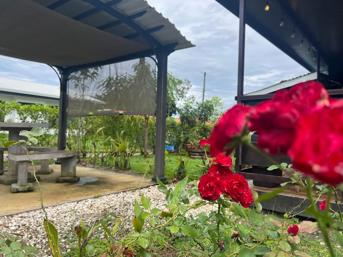 Turnkey Rustic Cabin in  Condominium, La Fortuna: Airbnb