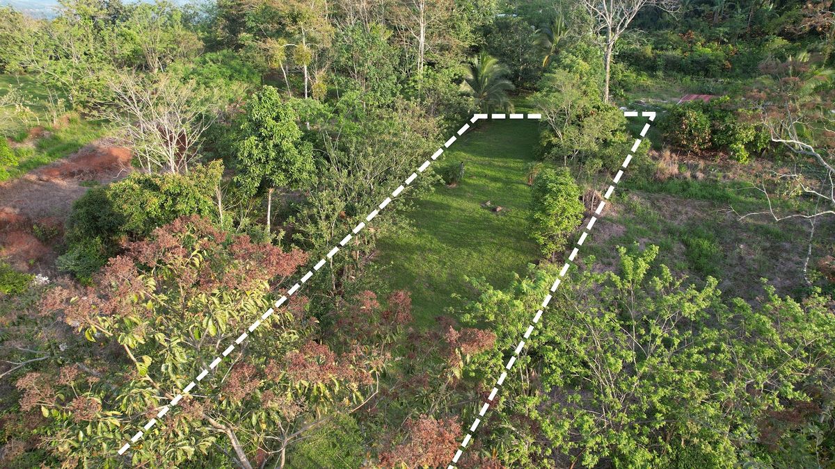 Lot in Cuestillas, Florencia with Panoramic Views