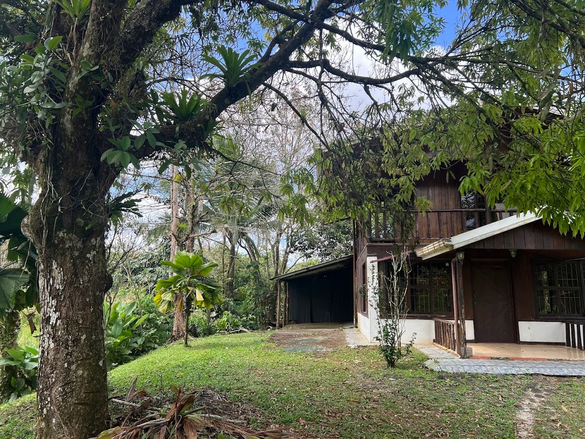 Stunning 6.4-Acre Lakefront Estate with Tourism Potential in La Palmera