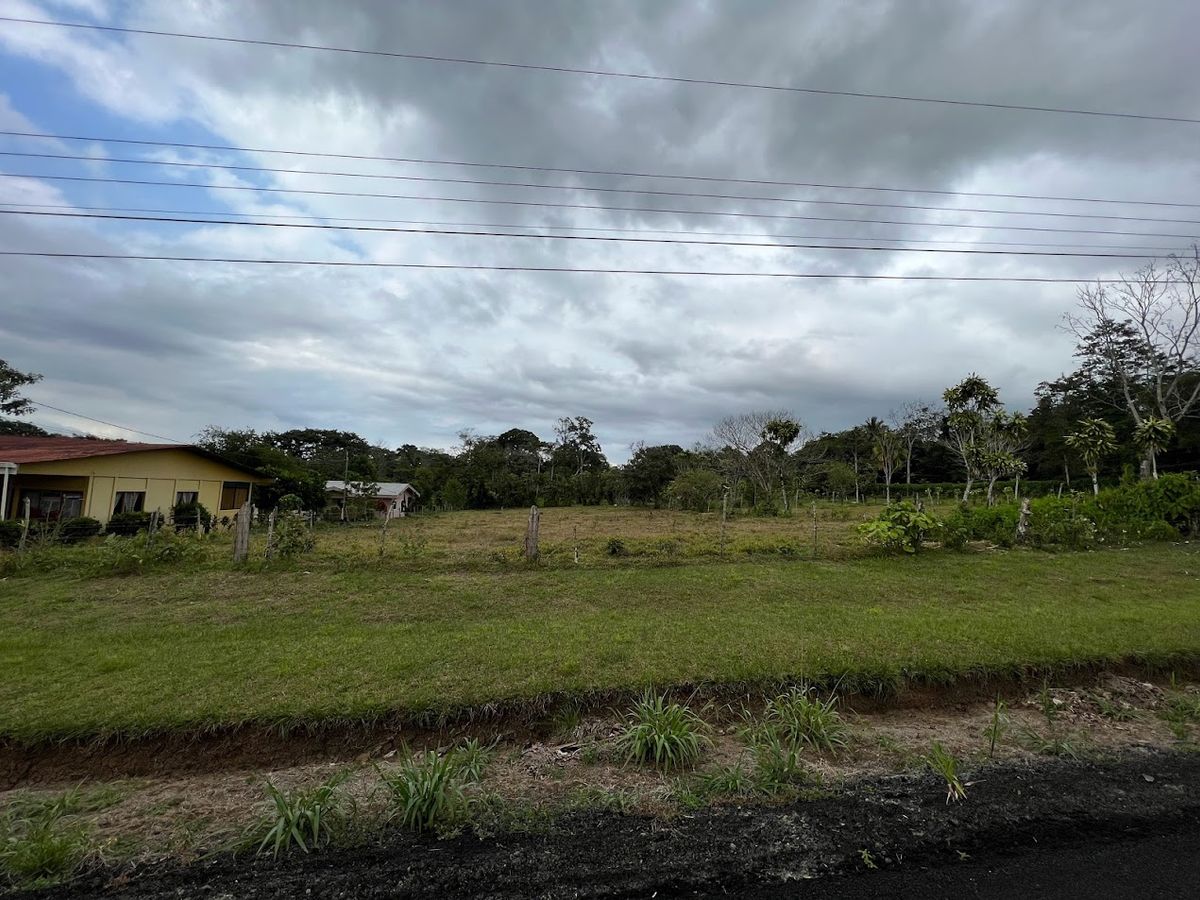 3,000 sqm Flat Lot in La Marina: Ready to Build & Prime Location