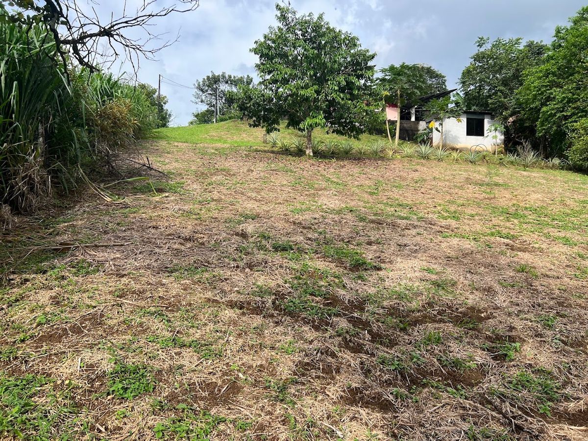 Home with Large Lot for Sale in La Tesalia | San Carlos
