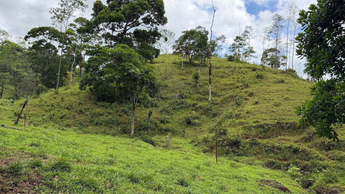 Finca Turística y Agropecuaria en San Carlos: Con Nacientes y Ríos