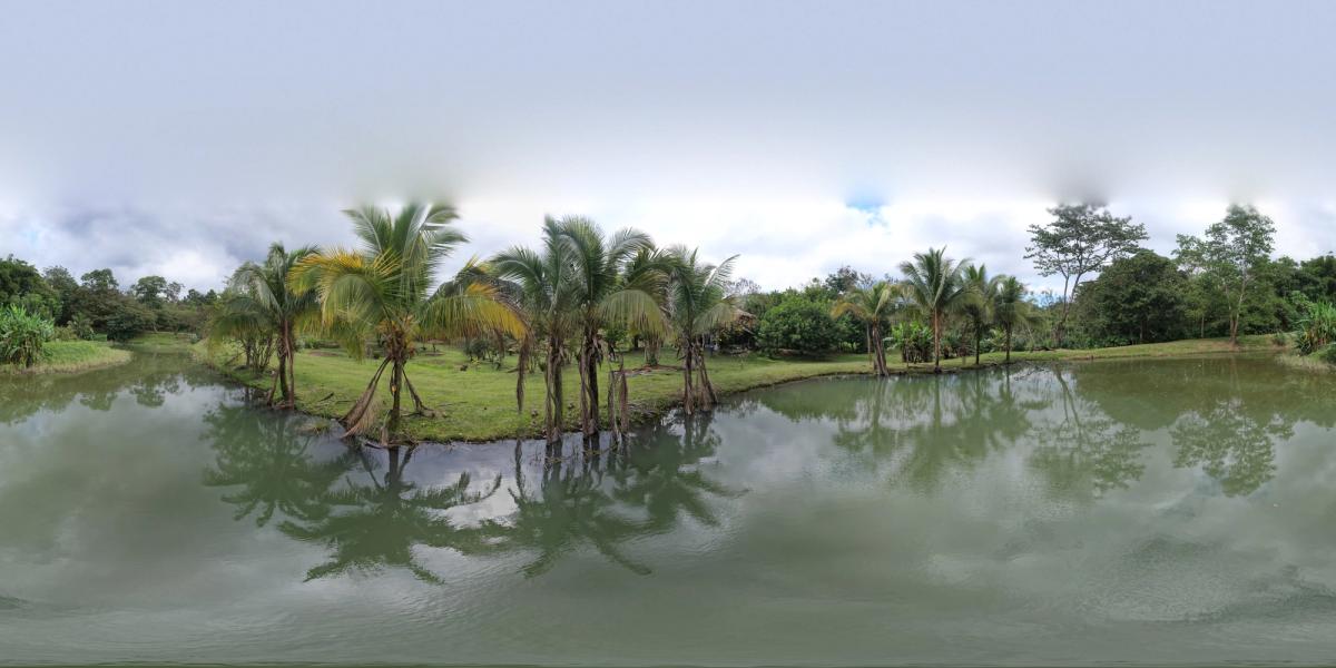 Stunning 6.4-Acre Lakefront Estate with Tourism Potential in La Palmera