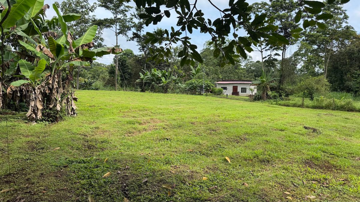 Land for Country Home in La Tigra, San Carlos: Bordering River