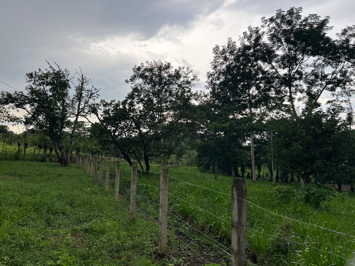 7-Hectare Self-Sufficient Dairy Farm and Cabin in Los Chiles