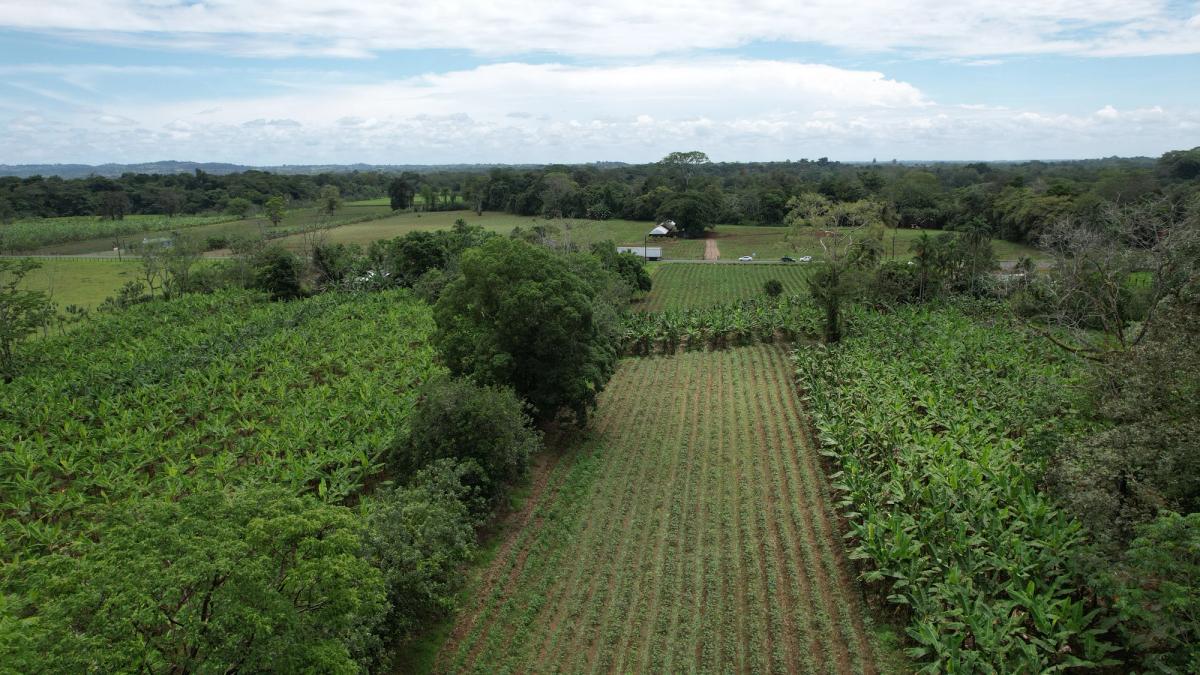 2-Hectare Farm in La Perla, La Fortuna: Commercial Frontage & Peñas Blancas River