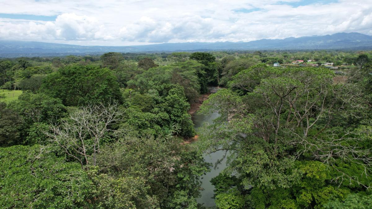 2-Hectare Farm in La Perla, La Fortuna: Commercial Frontage & Peñas Blancas River