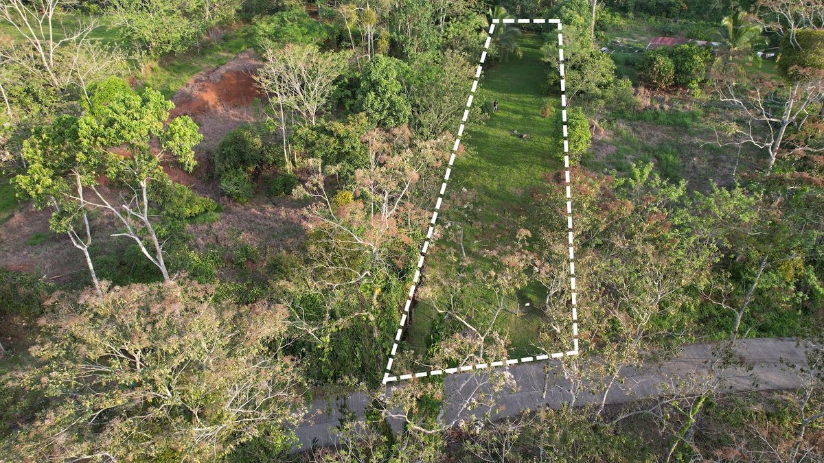 Lot in Cuestillas, Florencia with Panoramic Views