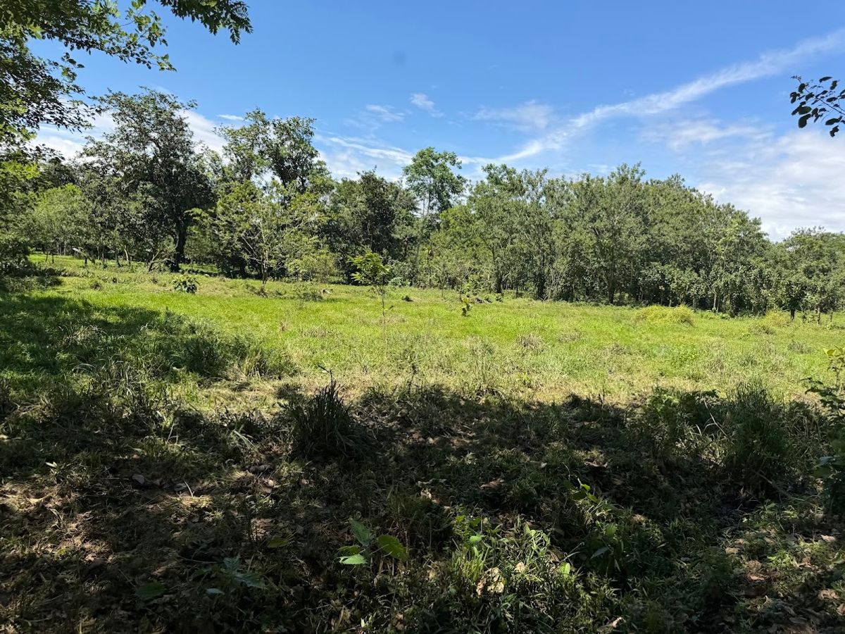 3.6-Hectare Livestock & Commercial Farm in La Vega: Main Road Frontage