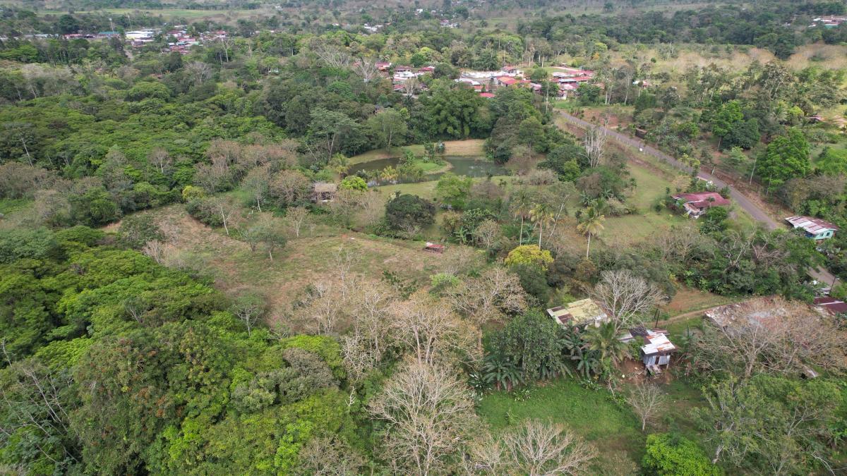 Stunning 6.4-Acre Lakefront Estate with Tourism Potential in La Palmera