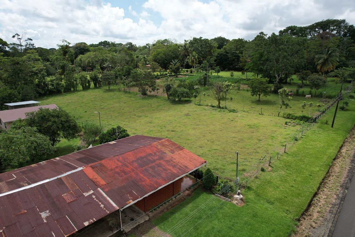 3,000 sqm Flat Lot in La Marina: Ready to Build & Prime Location