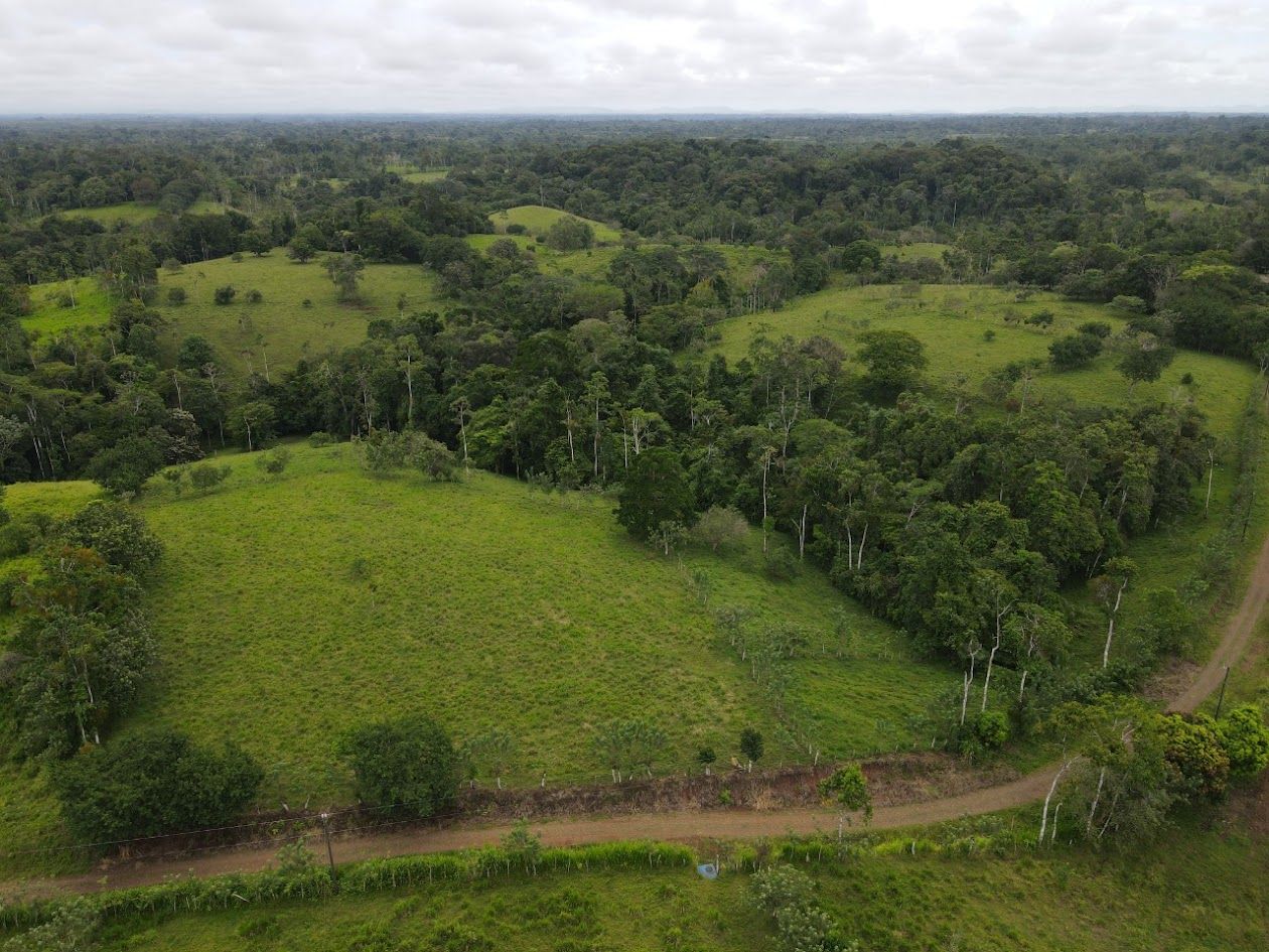Cattle Farm in San Carlos: Flat Topography, Pasture Paddocks, and Mountain Area