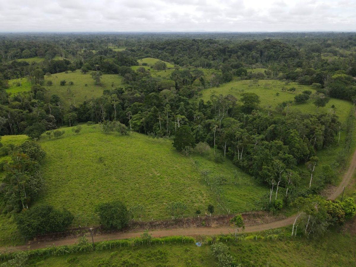 Finca ganadera en San Carlos: Topografía plana, apartos y montaña