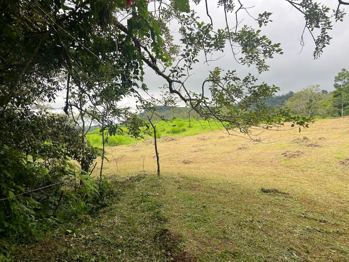3,000 sqm Flat Lot in San Gerardo: Nature & Investment Opportunity