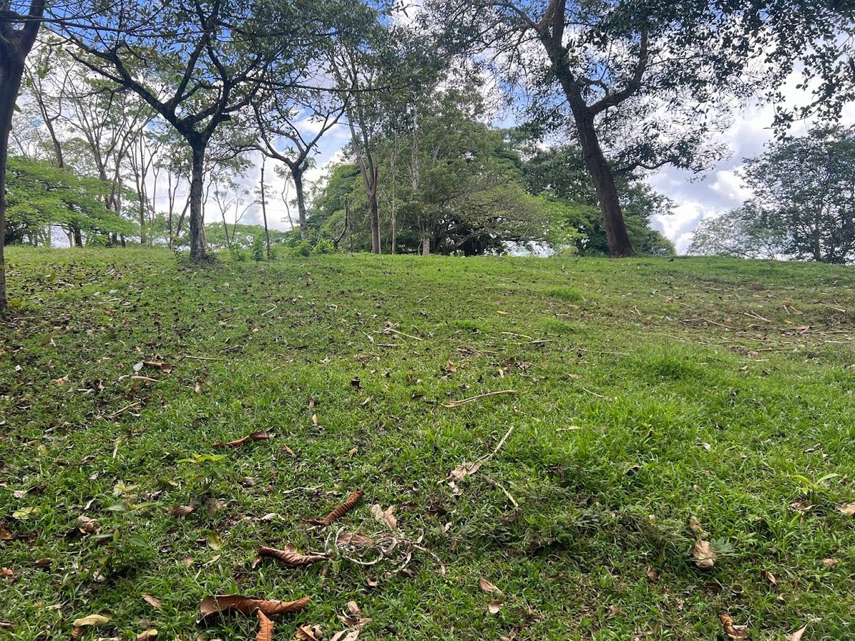 4,036 sqm Versatile Rural Lot in San Jorge de Cutris, San Carlos