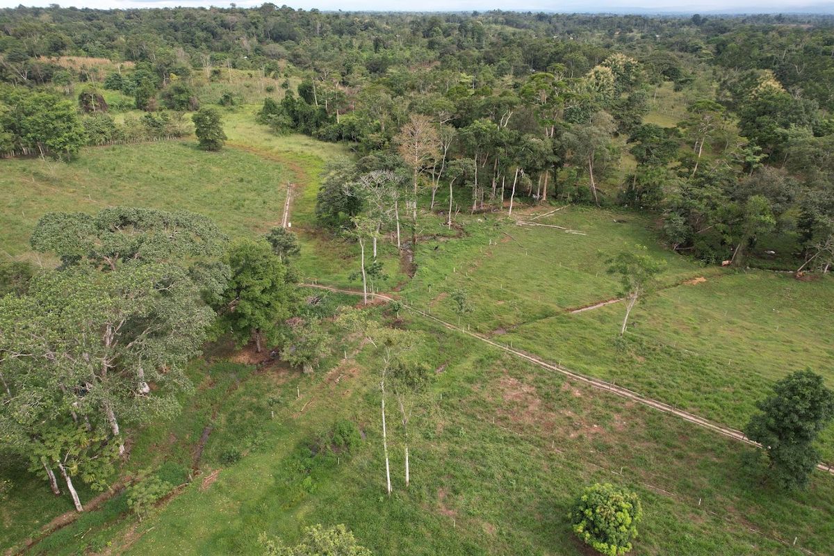7-Hectare Self-Sufficient Dairy Farm and Cabin in Los Chiles