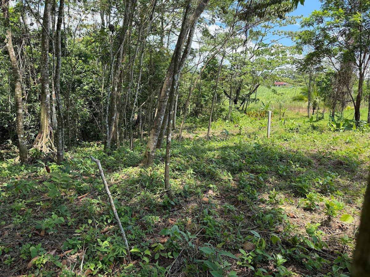 725 sqm Lot in Chachagua: Near La Fortuna & Arenal Volcano