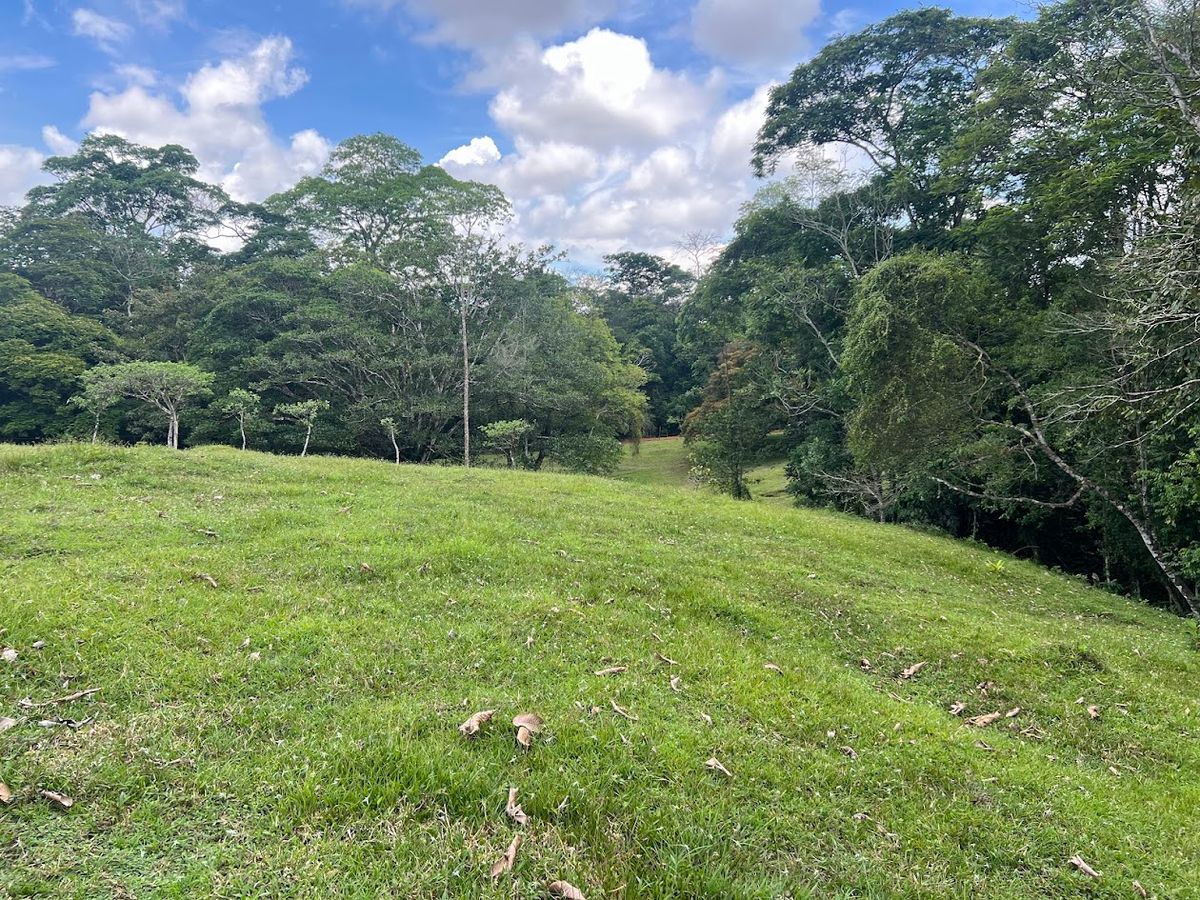 4,036 sqm Versatile Rural Lot in San Jorge de Cutris, San Carlos