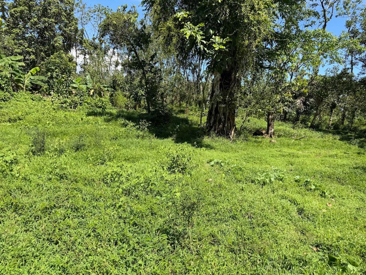 3.6-Hectare Livestock & Commercial Farm in La Vega: Main Road Frontage