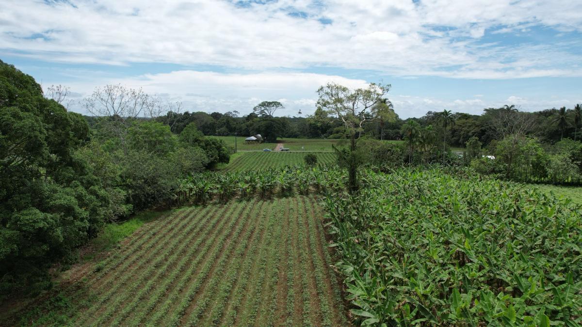 2-Hectare Farm in La Perla, La Fortuna: Commercial Frontage & Peñas Blancas River