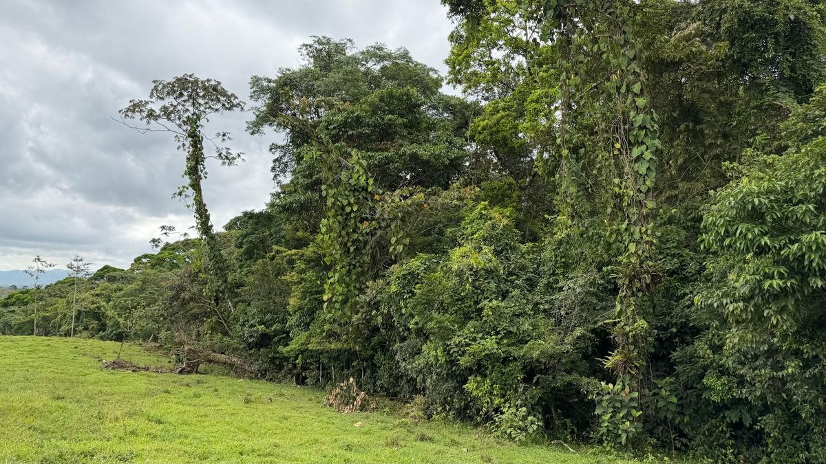 Finca Turística y Agropecuaria en San Carlos: Con Nacientes y Ríos