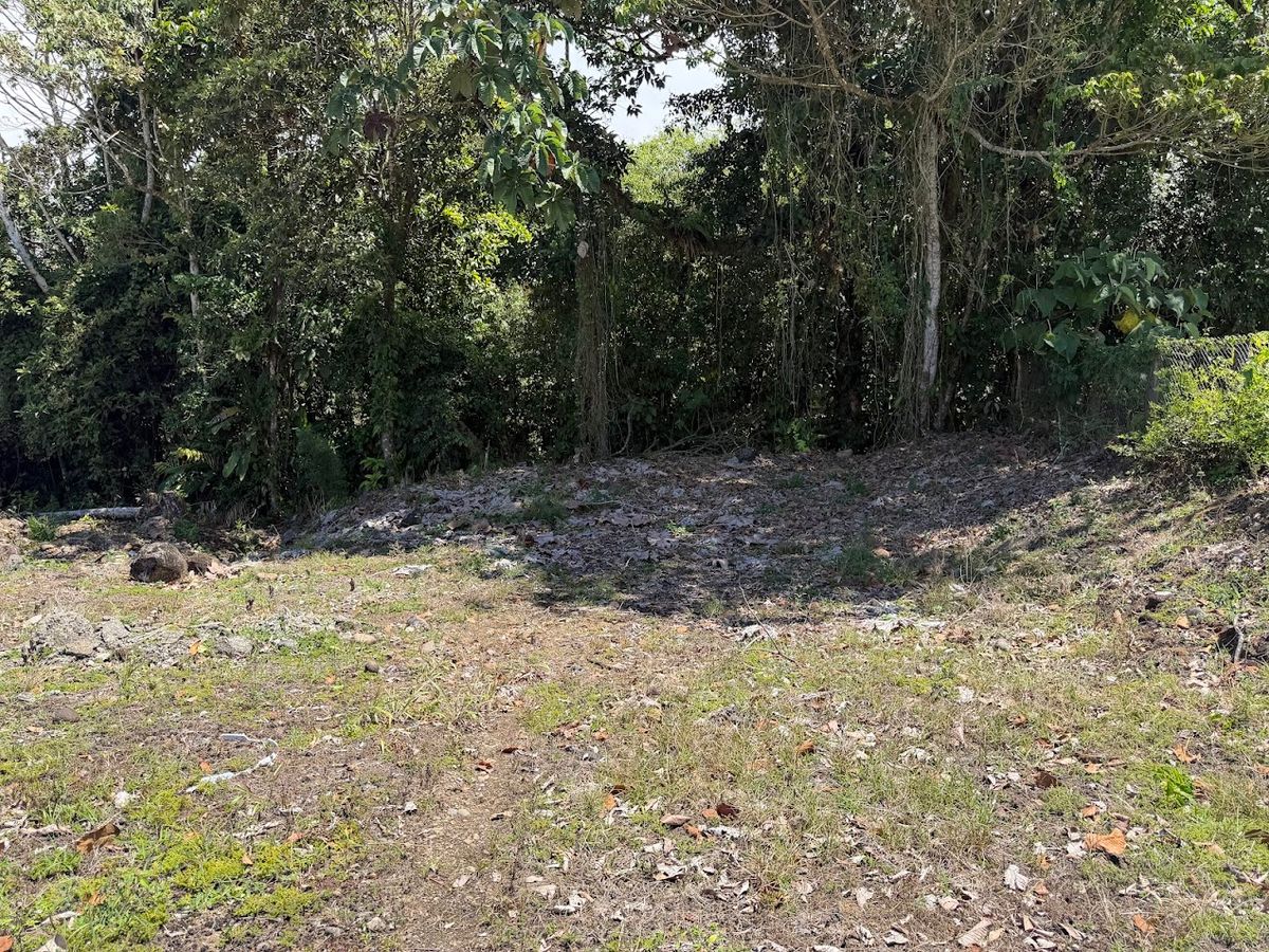 Private lot in San Gerardo, Ciudad Quesada