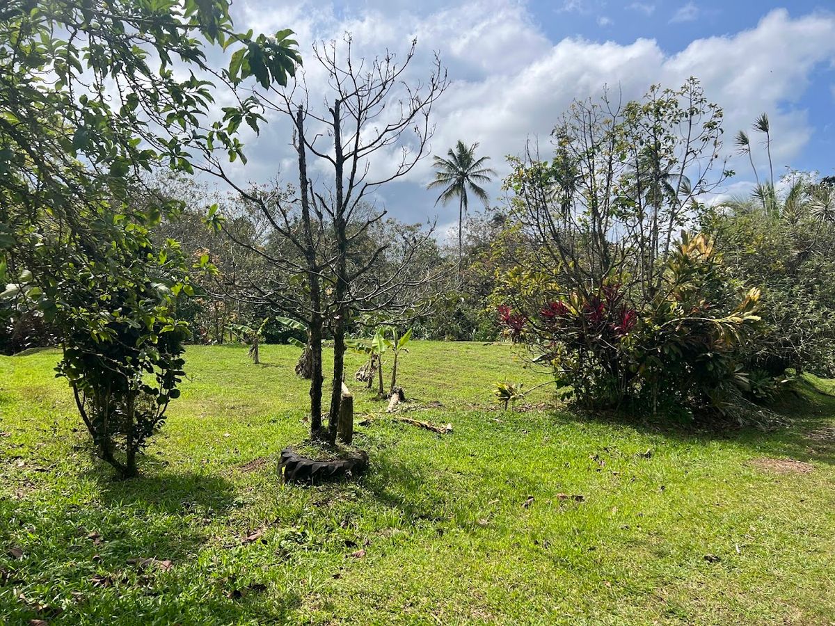 Stunning 6.4-Acre Lakefront Estate with Tourism Potential in La Palmera