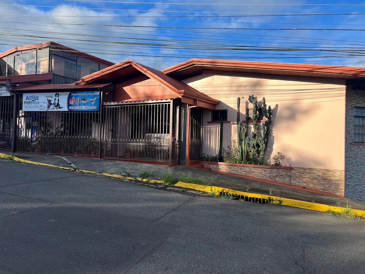 Prime Commercial Property in Downtown Ciudad Quesada: High-Yield Investment